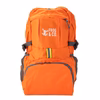 Pocket Foldable Bug-Out Backpack by Survival Frog 2025